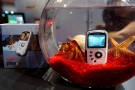 Kodak: arrivano le nuove videocamere