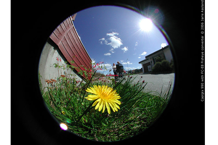 fish-eye