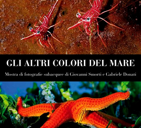 Gli altri colori del mare, fotografia subacquea