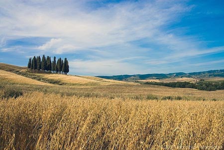 La profondità di campo e il diaframma