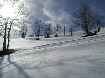 Paesaggio_con_neve