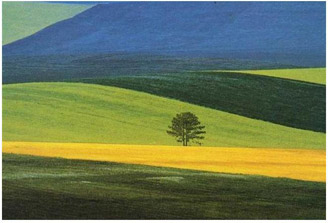 Franco Fontana, il maestro della fotografia