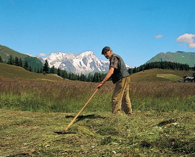 Una mostra che racconta l'evoluzione del settore agricolo in Italia