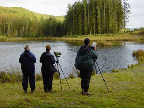 La fiera del birdwatching, tra eventi e mostre fotografiche 