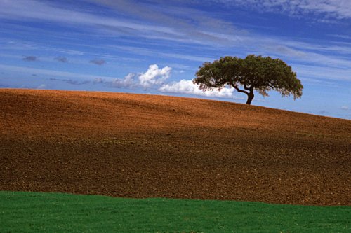 I paesaggi e il grandangolo