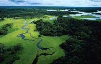 "Amazzonia arrosto": a Varese la mostra fotografica