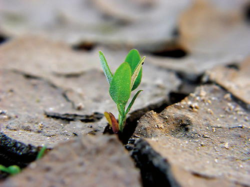 RAEEporter: una immagine per salvare l'ambiente