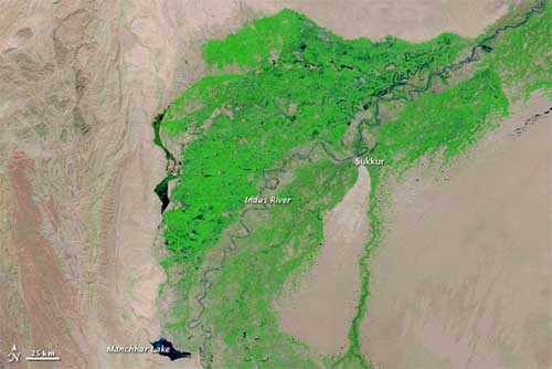 Una fotografia per scoprire il terribile scenario dell'alluvione in Pakistan