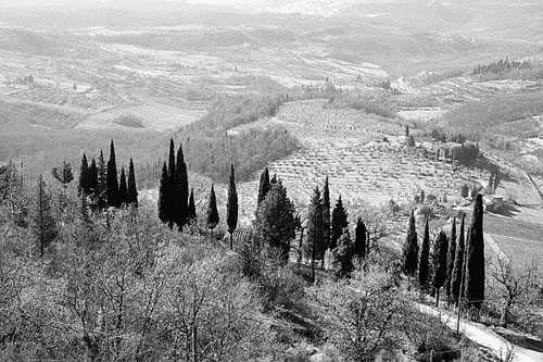 Fotografia: paesaggi invernali e il bianco e nero