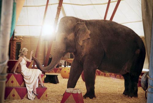 Reese Witherspoon: tra foto, film e animali da circo