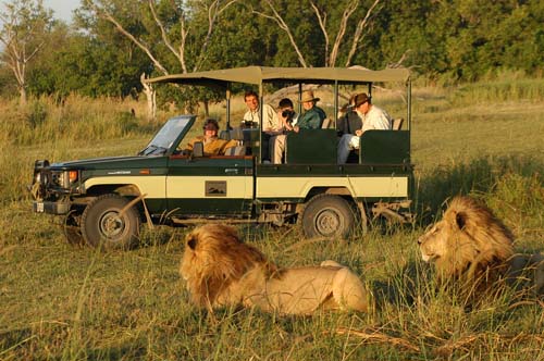 La fotografia naturalistica e il safari