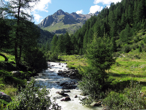 Fotografare il Parco: al via il concorso internazionale