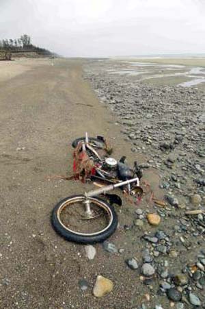 Foto curiose: ritrova moto persa durante lo tsunami