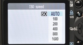 iso cos'è