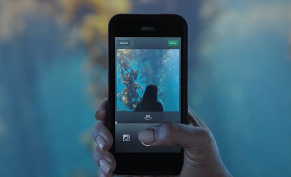 instagram arrivati video