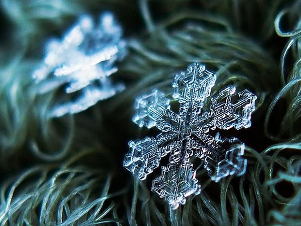 Fotografare i fiocchi di neve, i consigli di Alexey Kljatov