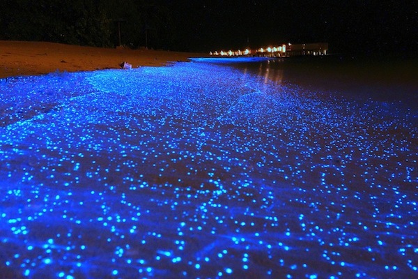 Le 8 più belle foto della sabbia blu alle Maldive