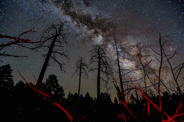 5 bellissime foto della Via Lattea vista dal Grand Canyon