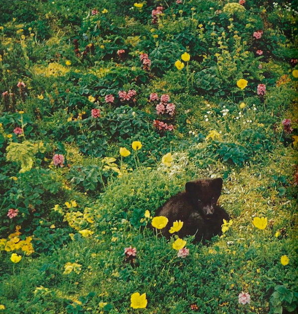 5 bellissime foto vintage del National Geographic