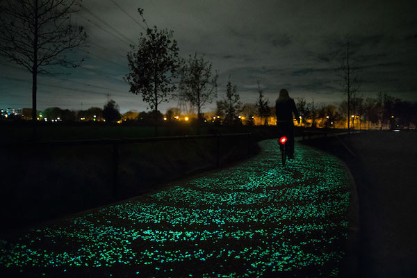 5 incredibili foto della pista ciclabile più bella al mondo