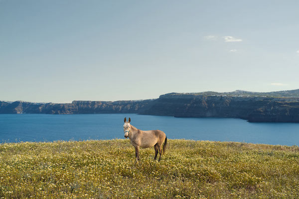 Foto di Santorini