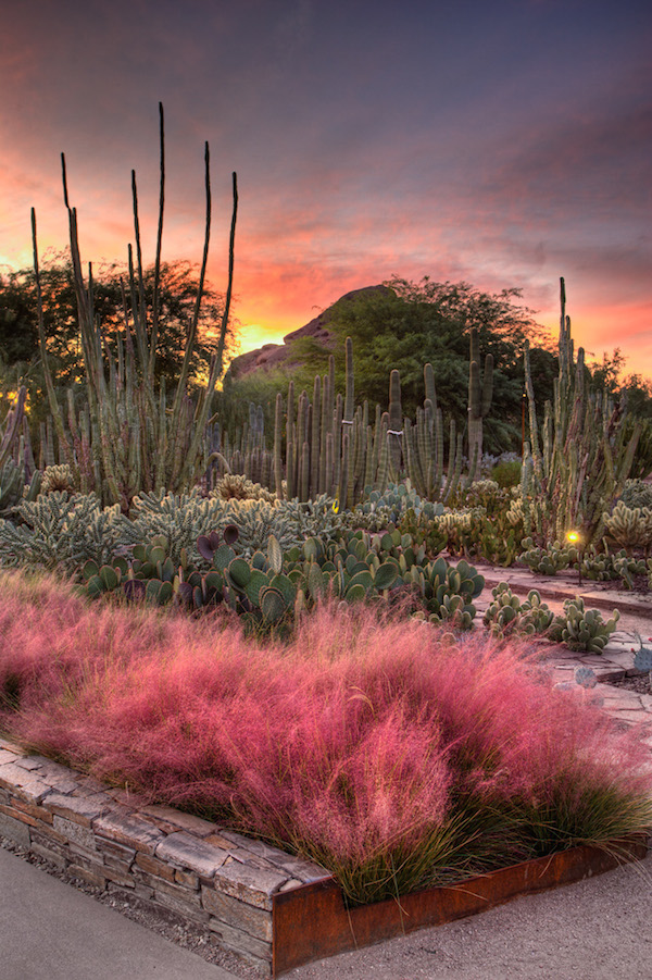 5 bellissime foto di giardini incredibili