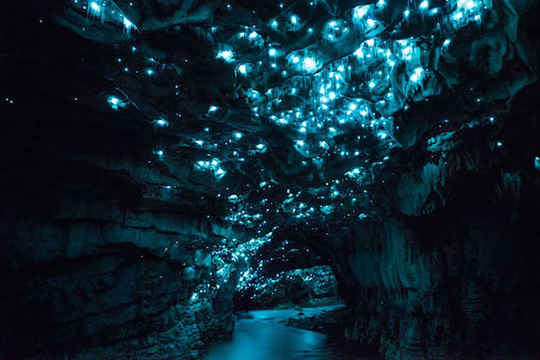 Foto delle grotte calcaree dell’Isola Nord della Nuova Zelanda