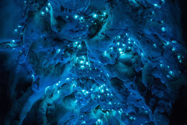 Foto delle grotte calcaree dell’Isola Nord della Nuova Zelanda