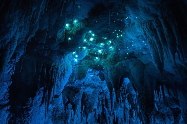 Foto delle grotte calcaree dell’Isola Nord della Nuova Zelanda