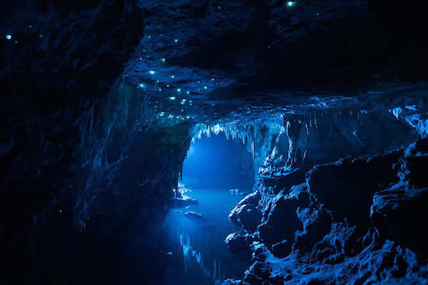 Foto delle grotte calcaree dell’Isola Nord della Nuova Zelanda