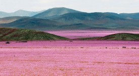 Foto deserto Atacama