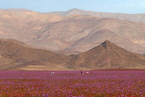 Foto deserto Atacama