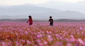 Foto del deserto Atacama