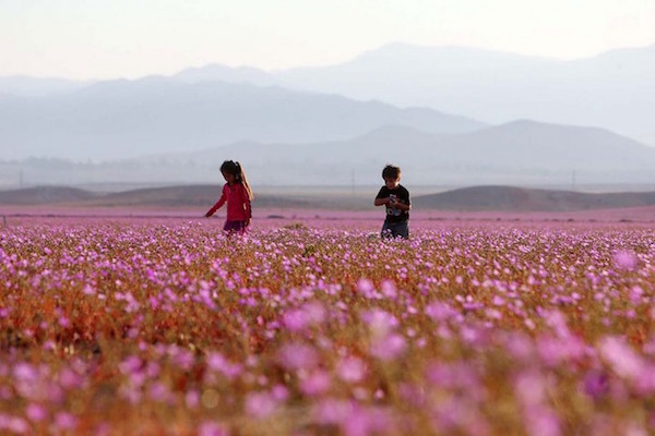 Foto del deserto Atacama