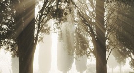 Foto dei grandi fotografi internazionali sull'Italia