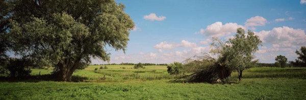 Foto della mostra di Wim Wenders