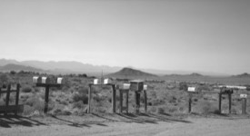 Foto della mostra di Wim Wenders