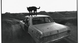 Foto della mostra di Wim Wenders