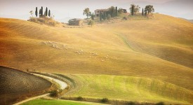 Foto della Toscana