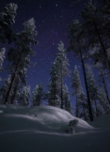 Foto cielo notturno