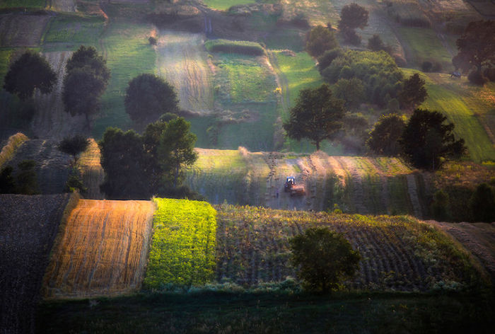 5 bellissime foto di campi in Europa