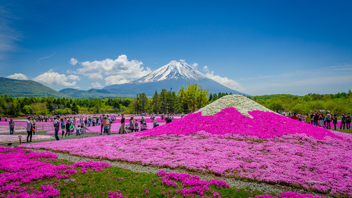 Parco di Hitsujiyama