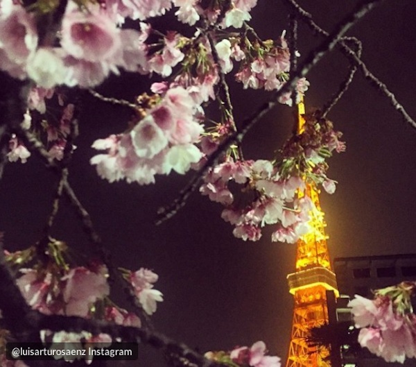 Hanami, la spettacolare fioritura dei ciliegi in Giappone